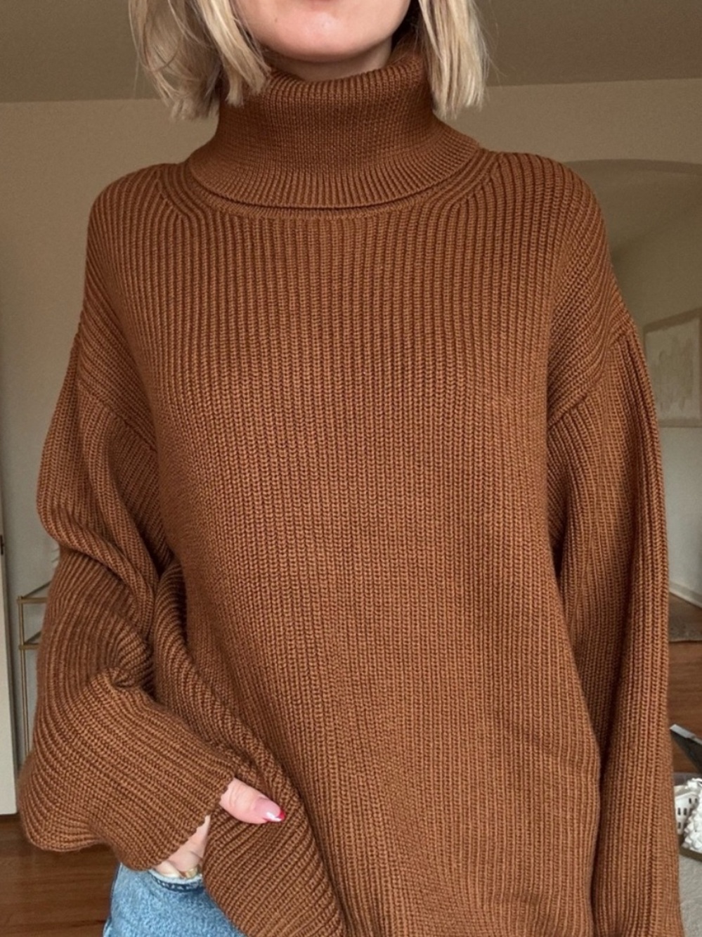 WILFRED Aritzia Merino Wool Chunky Knit Oversized Turtleneck Sweater Size SMALL